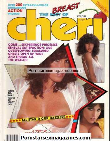 80s Porn Classic Â« PornstarSexMagazines.com