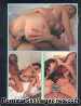 Backdoor Beginners 08 Gourmet Edition Adult Magazine - Summer ROSE anal sex