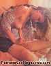nancy suiter